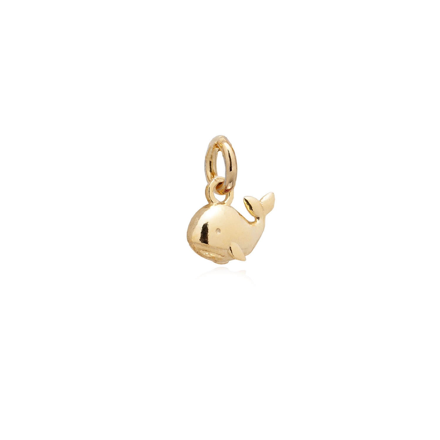 CHARM MICRO NEREA