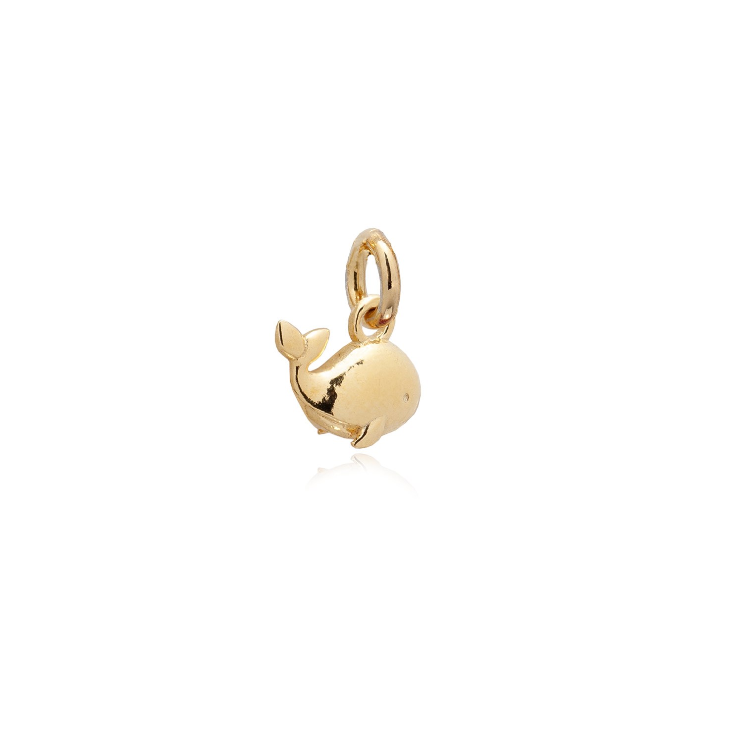 CHARM MICRO NEREA