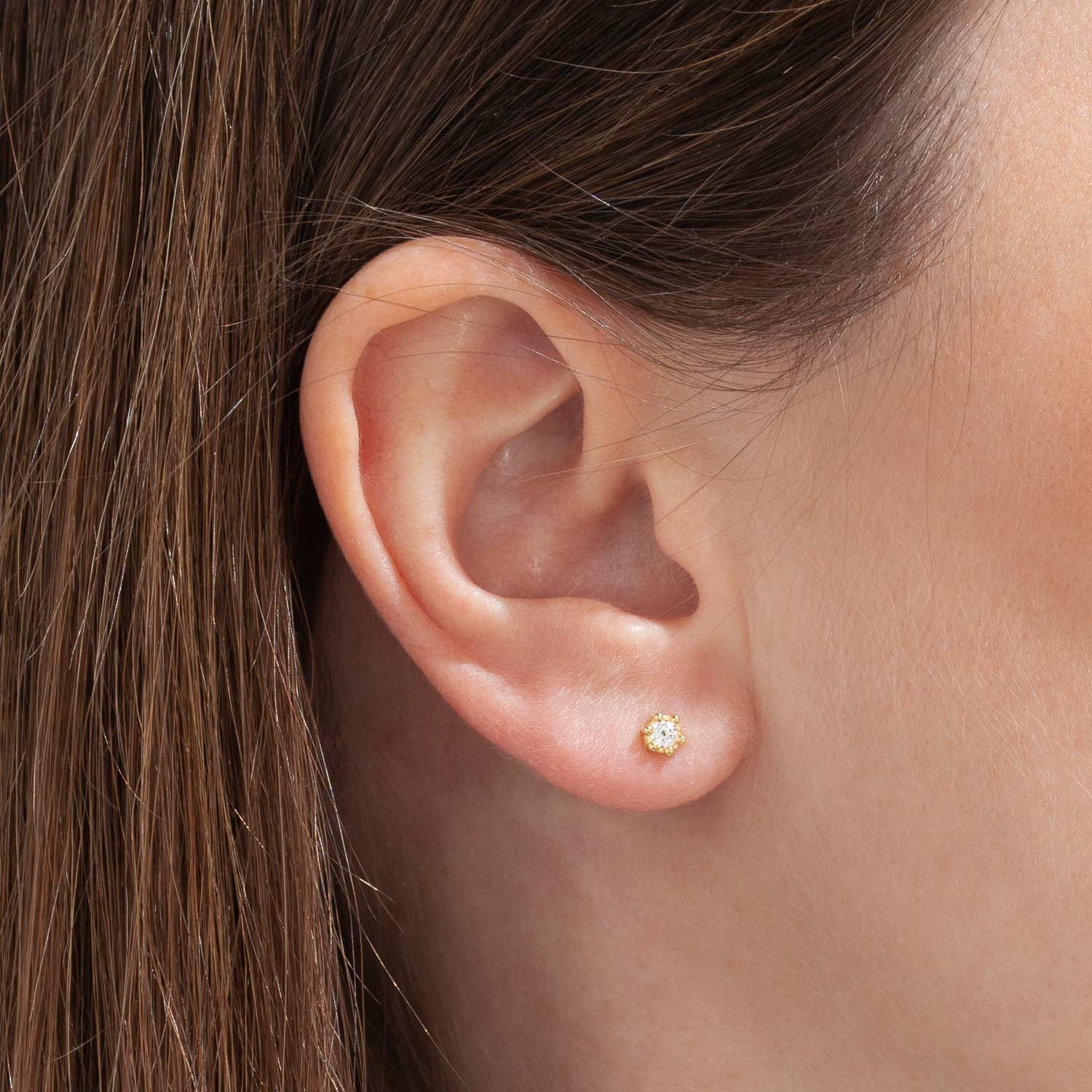 Orecchino a forma di bocciolo di fiore. Orecchino a lobo piccolo. Gioiello in argento 925 e zircone finitura oro.